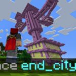Minecraft End City Command